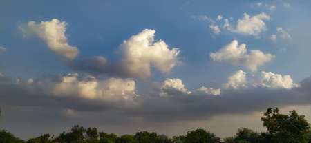 Sky blue white clouds tree image in india background wallpaper sky clouds wallpaper imageの写真素材