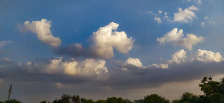 Sky blue white clouds tree image in india background wallpaper sky clouds wallpaper imageの写真素材