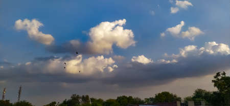 Sky blue white clouds tree image in india background wallpaper sky wallpaper