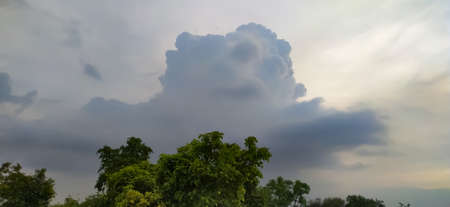 sky blue background image white clouds tree background image in indian village imageの写真素材