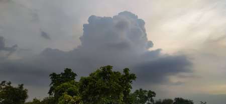 sky blue background image white clouds tree background image in indian village imageの写真素材