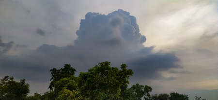 sky blue background image white clouds tree background image in indian village imageの写真素材