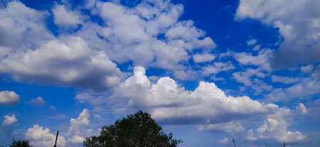 sky blue background image white clouds tree background image in indian village imageの写真素材