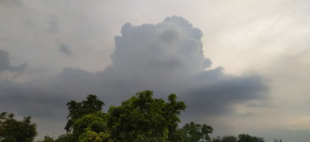 sky blue background image white clouds tree background image in indian village imageの写真素材