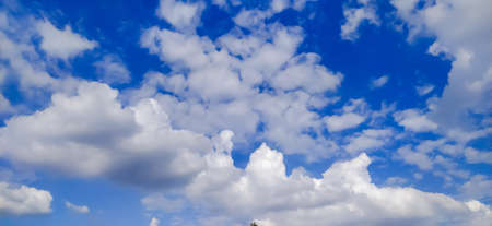 sky blue background image white clouds tree background image in indian village imageの写真素材