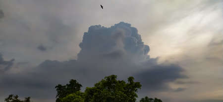 sky blue background image white clouds tree background image in indian village imageの写真素材