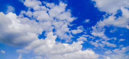 sky blue background image white clouds tree background image in indian village imageの写真素材