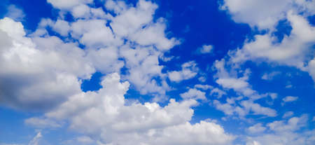 sky blue background image white clouds tree background image in indian village imageの写真素材