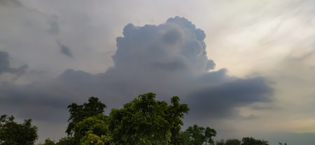 sky blue background image white clouds tree background image in indian village imageの写真素材