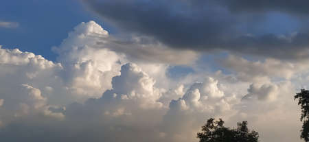 sky blue background image white clouds tree background image in indian village imageの写真素材