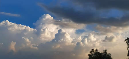 sky blue background image white clouds tree background image in indian village imageの写真素材