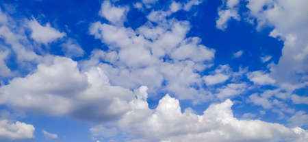 sky blue background image white clouds tree background image in indian village imageの写真素材