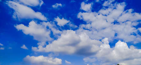 sky blue background image white clouds tree background image in indian village imageの写真素材