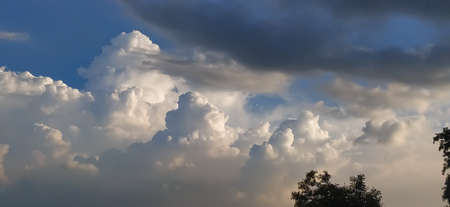 sky blue background image white clouds tree background image in indian village imageの写真素材