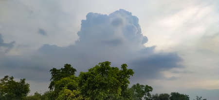 sky blue background image white clouds tree background image in indian village imageの写真素材