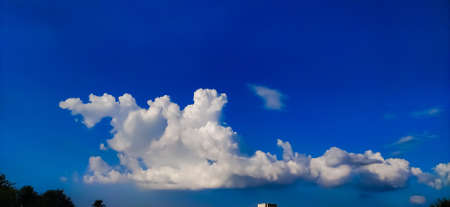 sky blue background image white clouds tree background image in indian village imageの写真素材