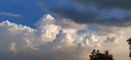 sky blue background image white clouds tree background image in indian village imageの写真素材