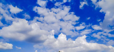 sky blue background image white clouds tree background image in indian village imageの写真素材