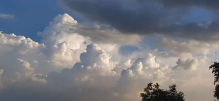 sky blue background image white clouds tree background image in indian village imageの写真素材