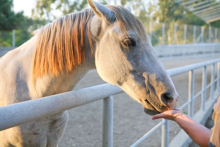 friendshipの写真素材
