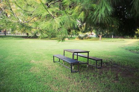 Picnic table in beautiful parkの写真素材