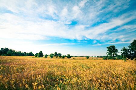 beautifully landscapeの写真素材