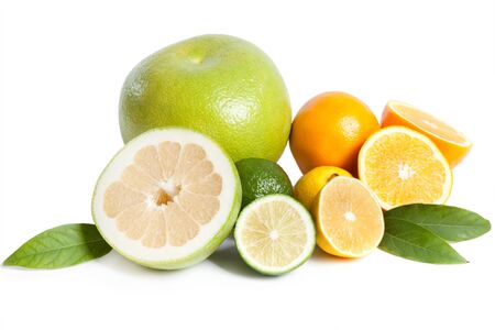 citrus collectionの写真素材