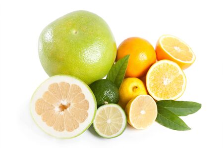 citrus collectionの写真素材