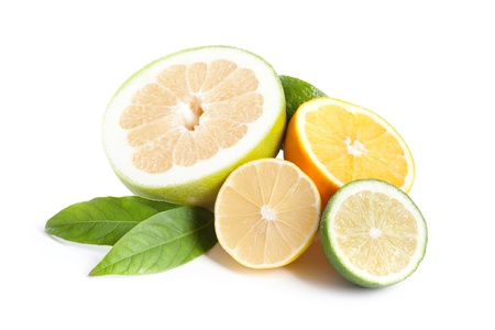 citrus collectionの写真素材