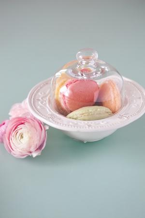 french macaron, the famous pastryの写真素材