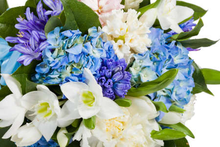 flowers isolated on white backgroundの写真素材