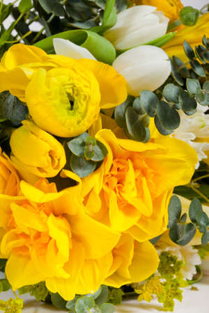 flowers isolated on white backgroundの写真素材