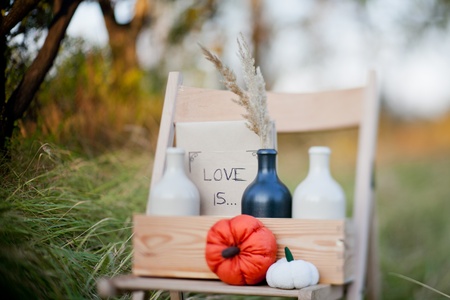 Harvested pumpkins decorate. Fall themeの写真素材