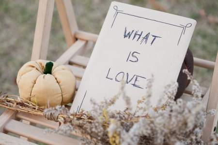 Harvested pumpkins decorateの写真素材