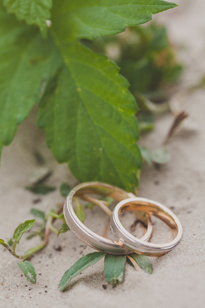 Wedding ringsの写真素材