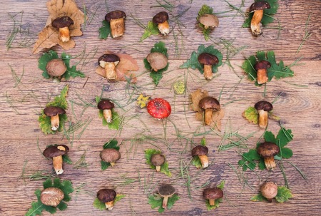 Fresh mixed forest mushrooms on the wooden tableの写真素材