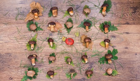 Fresh mixed forest mushrooms on the wooden tableの写真素材