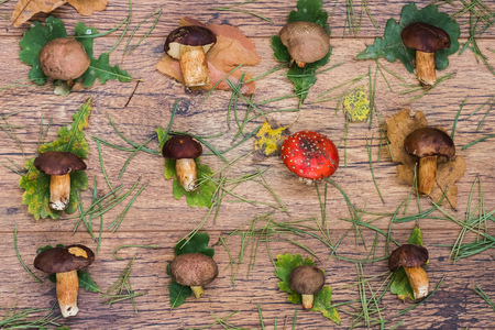 Fresh mixed forest mushrooms on the wooden tableの写真素材