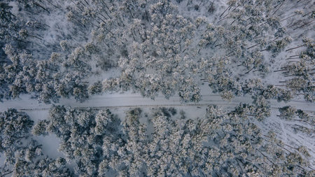 Aerial view of the winter mountain forest. Mountain aerial viewの写真素材
