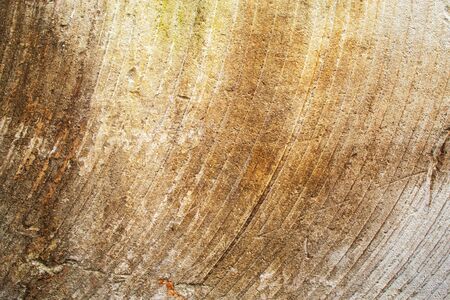 Background of straw sandstone closeupの写真素材