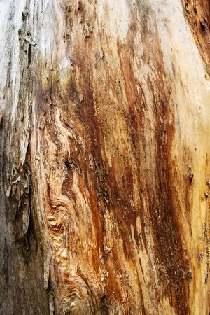 Brown wood background close-upの写真素材