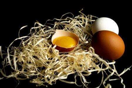 Chicken eggs on a black background
