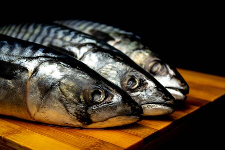 Three fresh mackerel on a wooden board. Black background.の写真素材