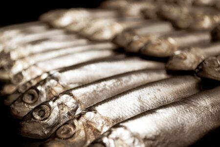 Background of small fish on black backgroundの写真素材