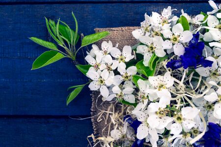 Blooming apple tree branch on a blue tableの写真素材