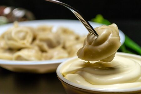 Delicious homemade dumplings with minced meat. One dumpling is soaked in sauceの写真素材
