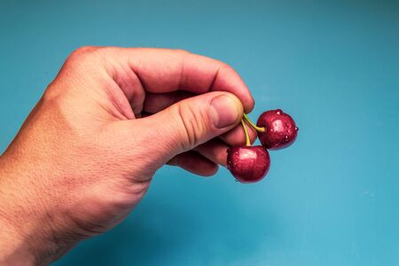 Red ripe juicy sweet cherry in a hand, blue backgroundの写真素材