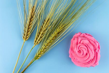 Spikelets of wheat and pink zefor on a blue background.の写真素材