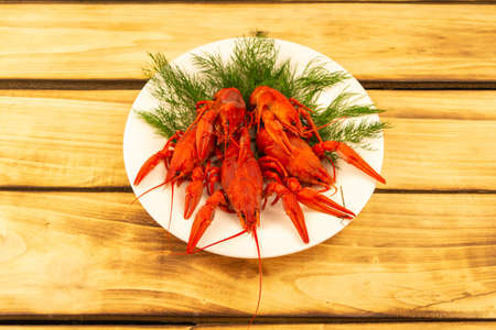 Boiled crayfish on a white plate decorated with dill, wooden backgroundの写真素材