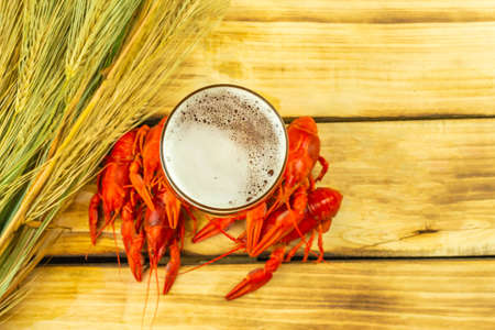 Boiled crayfish lie near a glass of beer and spikelets of wheat on a wooden background.の写真素材